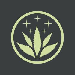 Logo The Hemp Concept