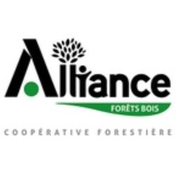 Logo ALLIANCE Forêts Bois