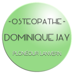 Logo Dominique Jay