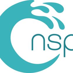 Logo NSP