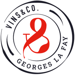 Logo Vins & Co