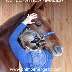Logo Sandrine Blot Animoenergetic