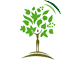 Logo Vert et Nature