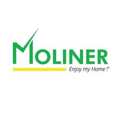 Logo Moliner