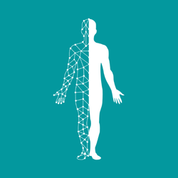 Logo Elise Vendola Ostéopathe D.O.