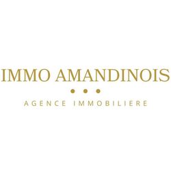 Logo Immo Amandinois