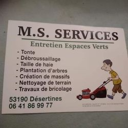 Logo MS Services