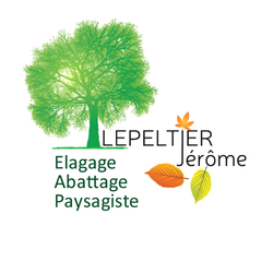 Logo LEPELTIER JEROME