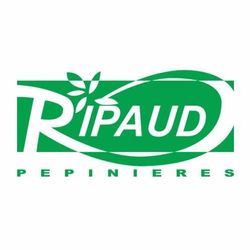Logo Ripaud Pépinières