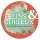 Logo Félins & Curieux