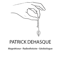 Logo Patrick Dehasque