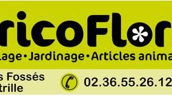 Logo Bricoflore