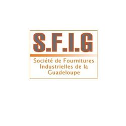 Logo S.F.I.G