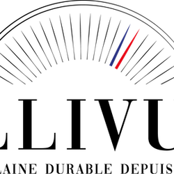 Logo Pillivuyt SAS