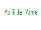 Logo Au Fil De L'arbre