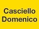 Logo Galerie Domenico Casciello