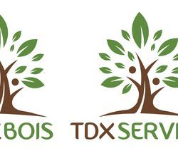 Logo TDX Bois