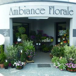 Logo Ambiance Florale