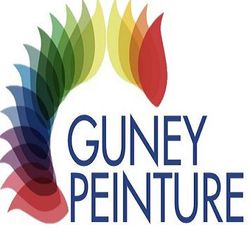 Logo Guney Peinture