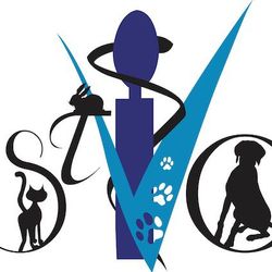 Logo CHRISTOVET