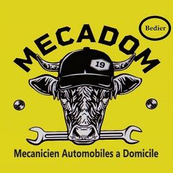 Logo Mecadom