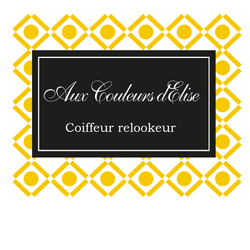 Logo Aux Couleurs D'Elise
