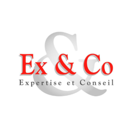 Logo Ex & Co KWK