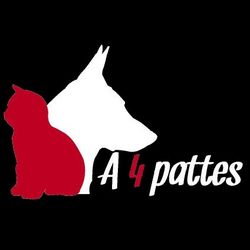 Logo A 4 Pattes