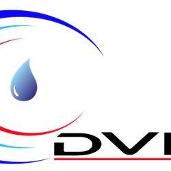 Logo Dvls