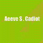 Logo SARL AEEVE S. Cadiot Paysagiste - Vente de bois de chauffage - 37
