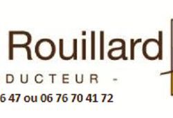 Logo Daniel Rouillard