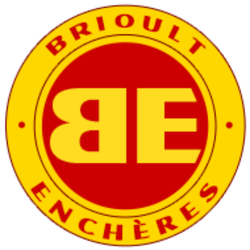 Logo Brioult Encheres