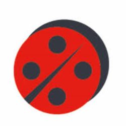 Logo COCCINELLE EXPRESS