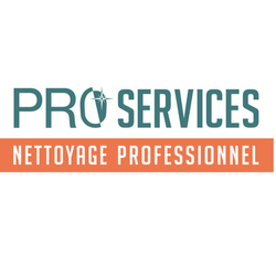 Logo LD Pro Services