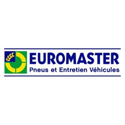 Logo Euromaster Leseche Pneus - Châteauroux Saint-Maur