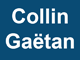 Logo C G JARDIN