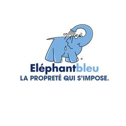 Logo ELEPHANT BLEU BERRY LAVAGE SARL