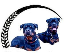 Logo Techni' Chien - Centre Canin
