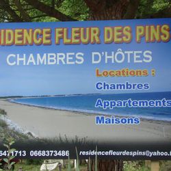 Logo FLEUR DES PINS