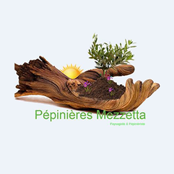 Logo Pépinières Mezzetta
