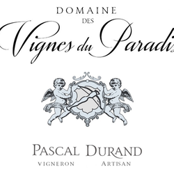 Logo Durand Pascal