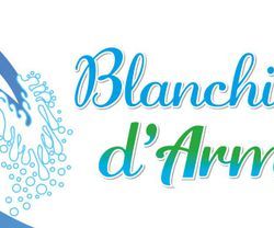 Logo Blanchisserie D'Armor