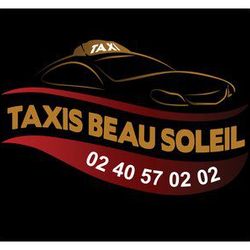 Logo Taxis Beau Soleil