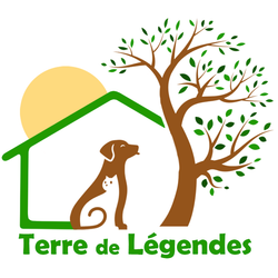 Logo Terre De Légendes