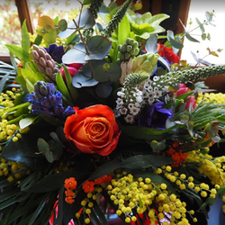 Logo La Scène Aux Fleurs