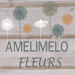 Logo Amelimelo Fleurs