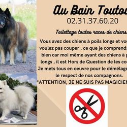 Logo Au Bain Toutou