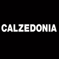 Logo Calzedonia France