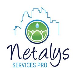 Logo Netalys Services Pro