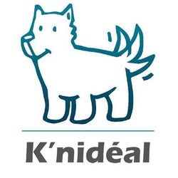Logo K'nidéal